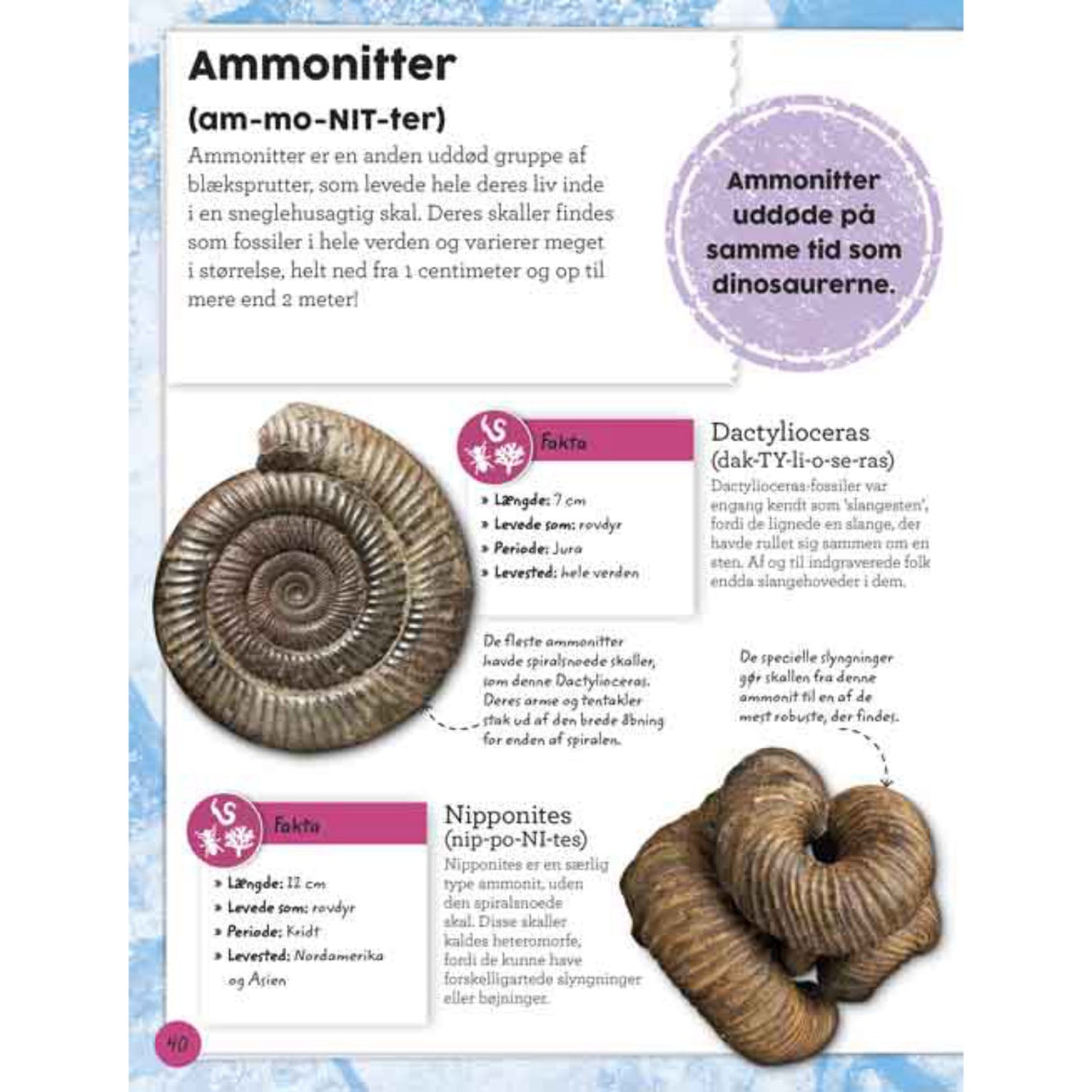 Forlaget Bolden Min Book Om Fossiler