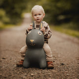 Find that Hippo Hoppe-Dyr - Thumper Kanin