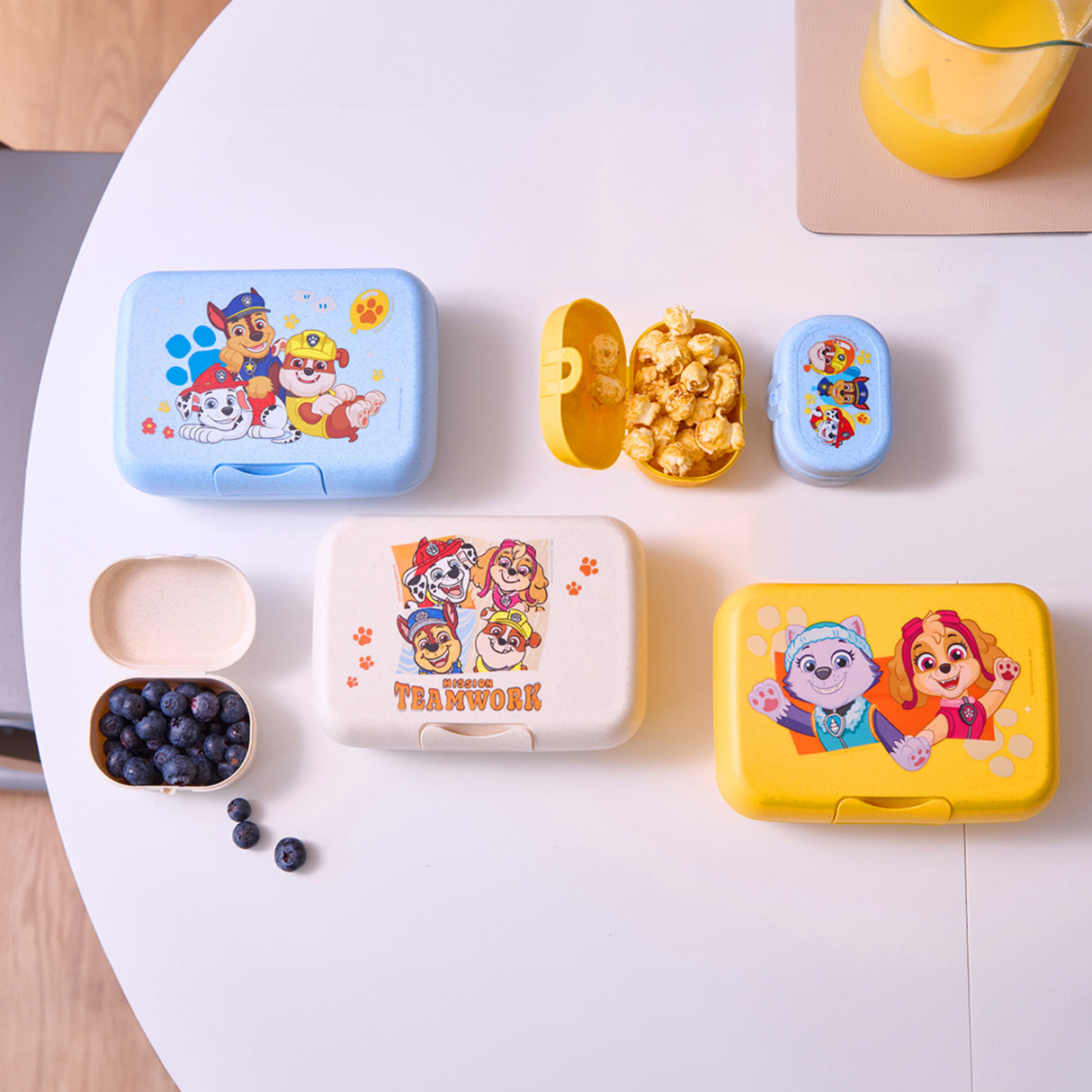Koziol Organic Sky Blue Lunch Box With Separation Bowl Candy L Grow Paw Patrol