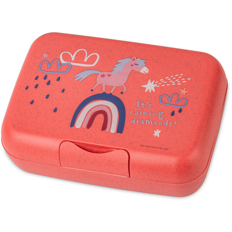 Koziol Organic Coral Red Lunch Box With Separation Bowl Candy L Dreams