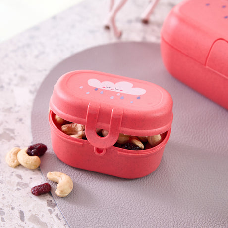 Koziol Organic Coral Red Snackbox Pascal Mini Dreams