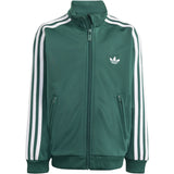 adidas Originals Collegiate Green/White Firebird Ts Sweat Set