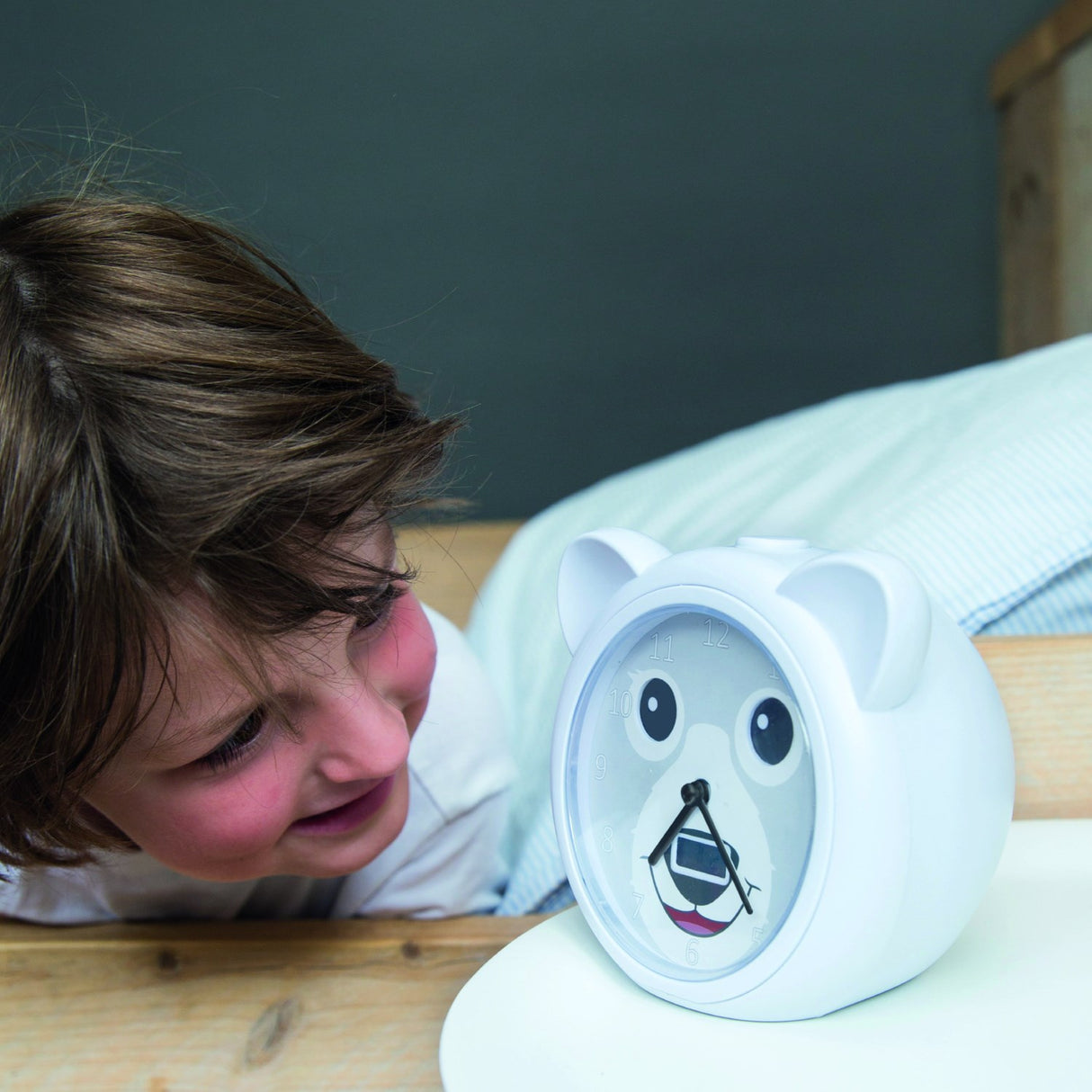 Zazu Grey Bobby The Bear Sleeptrainer