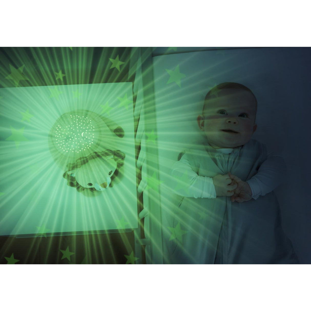 Zazu Grey Leo The Lion Projector