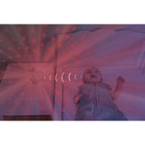 Zazu Grey Wally The Whale Projector