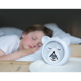 Zazu Grey Bobby The Bear Sleeptrainer