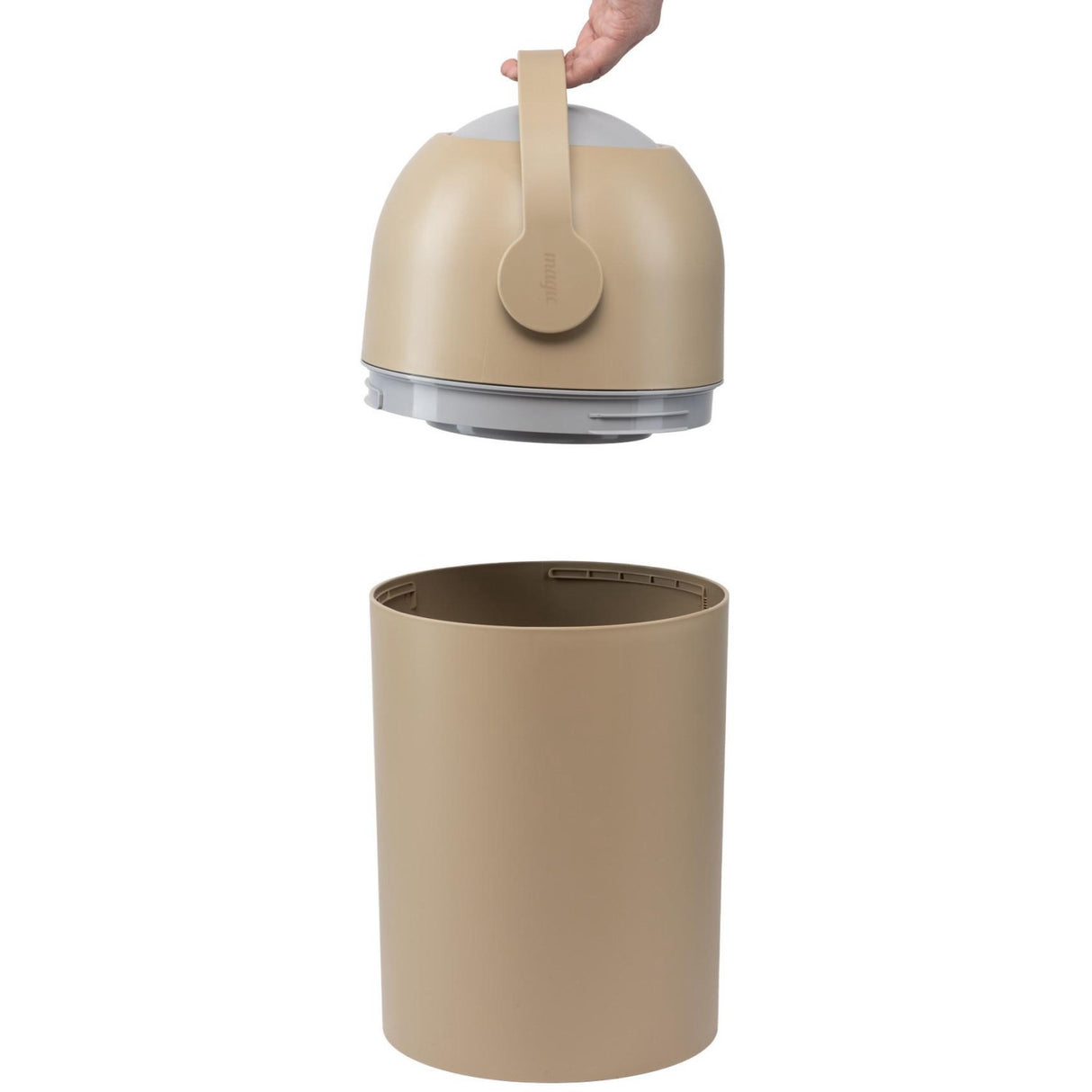 Magic Sesame Majestic