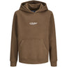 Jack & Jones Junior Cocoa Jjesoho Sweat Hood Noos Jnr