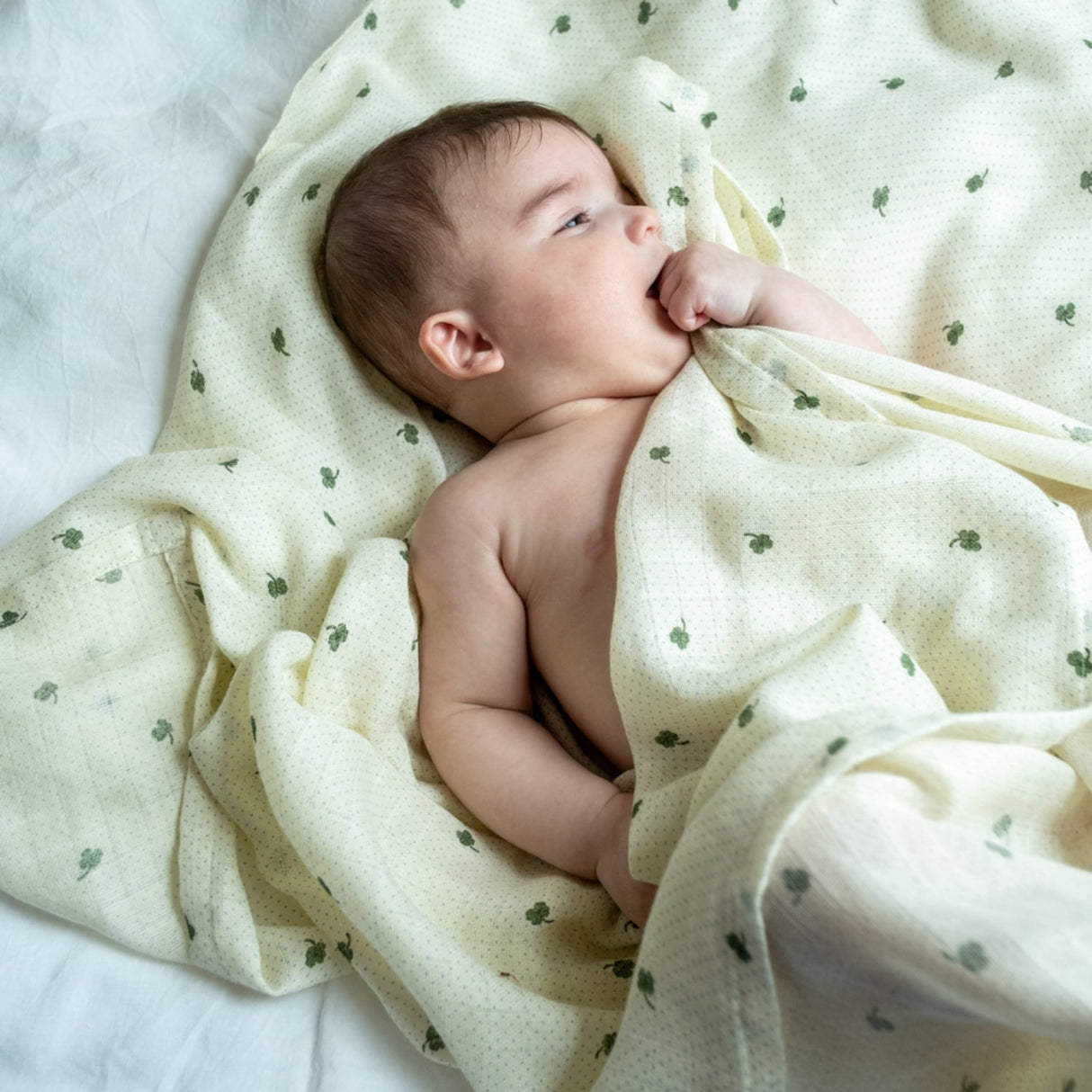 That's Mine Specks Of Luck Jana Muslin Swaddle