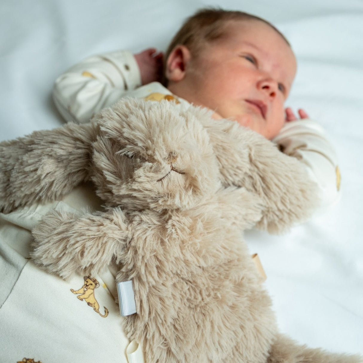 That's Mine Bunny Houston Heavy Teddy Mini