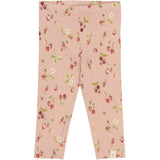 Petit Piao Misty Rose Strawberry AOP PPStar Leggings