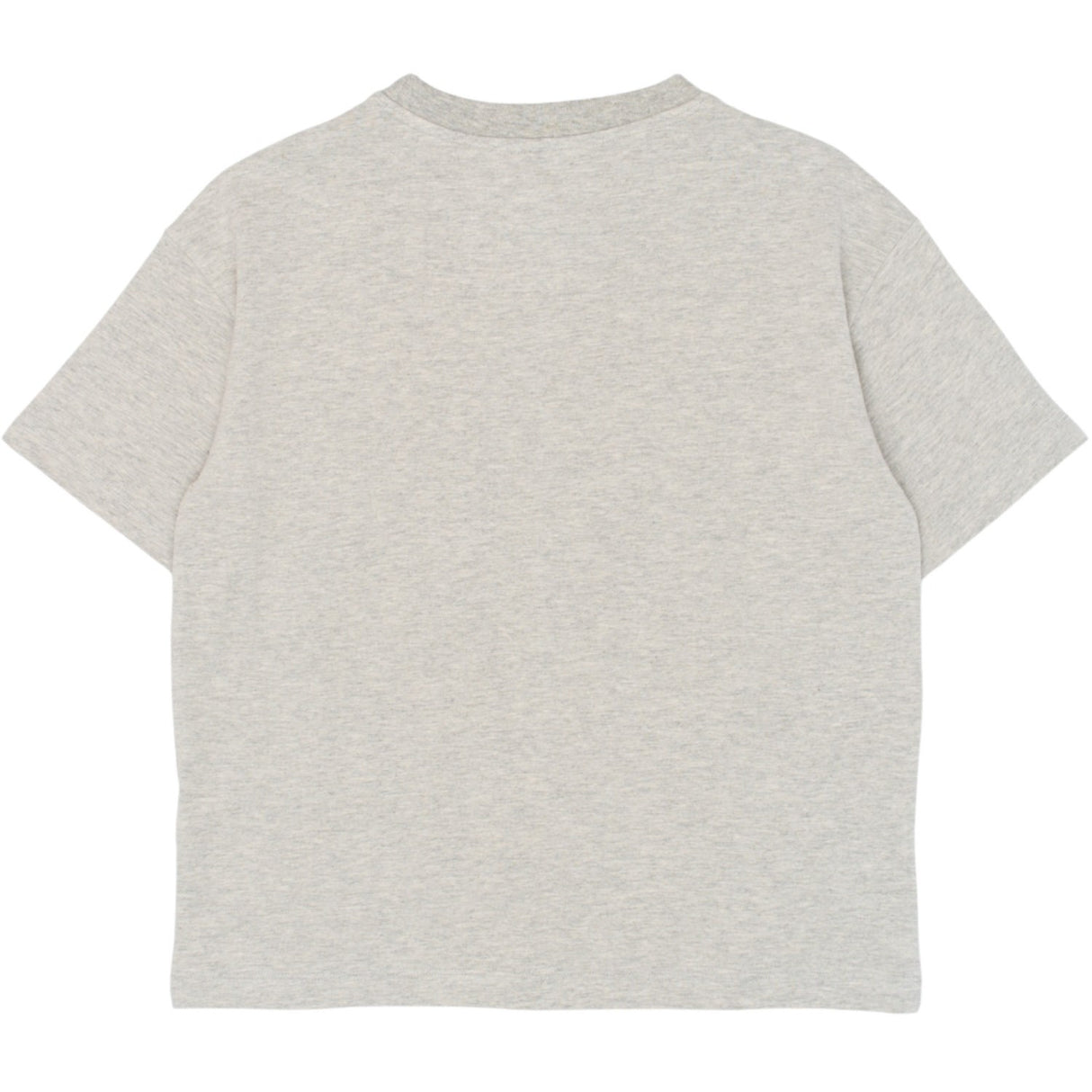 The New Light Grey Melange Tnteddy Os S_S Tee
