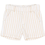 THE NEW Siblings Humus Striped Tnstsmitty Shorts