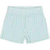 THE NEW Siblings Créme De Menthe Striped Tnsttate Shorts