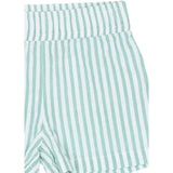 THE NEW Siblings Créme De Menthe Striped Tnsttate Shorts