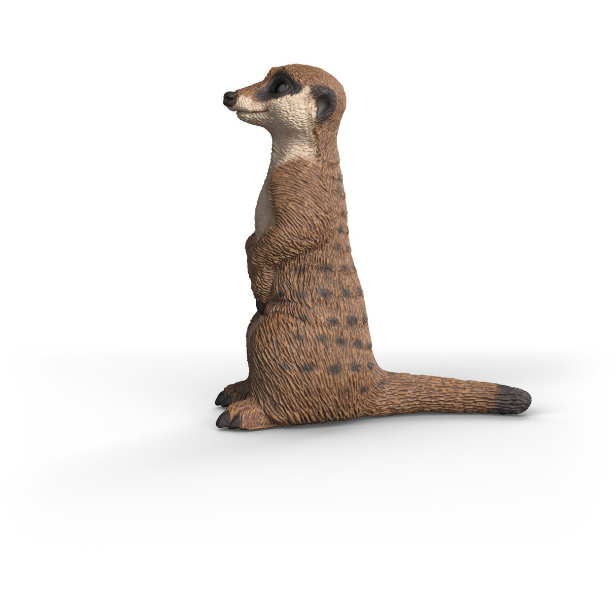 Schleich Surikat