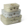 Smallstuff Safari Animals & Engines Suitcase Set