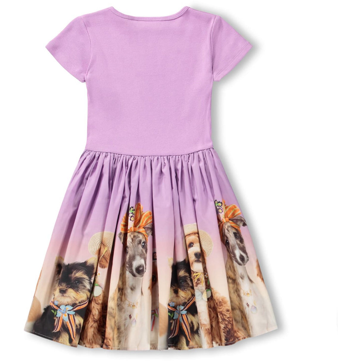 Molo Beach Ready Cissa Dress