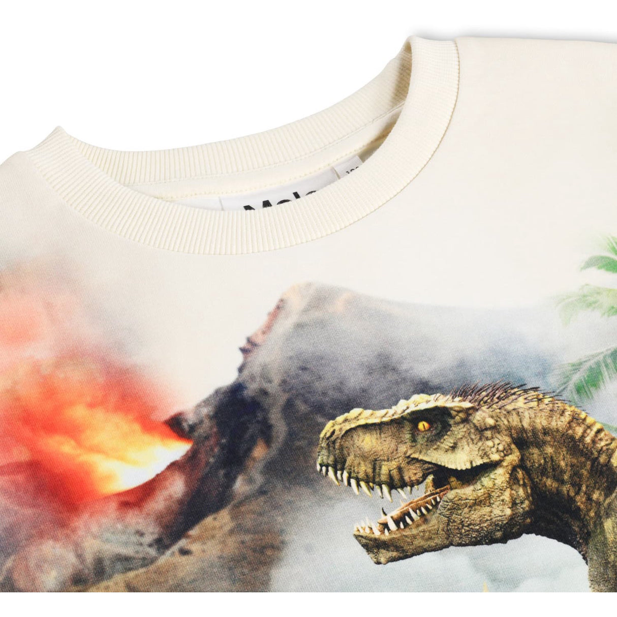 Molo Hot Spring Dinos Miksi Sweatpants