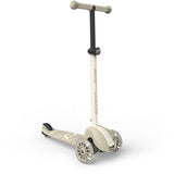 Scoot and Ride Ash Highwaykick 3S