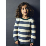 Name It Blue Mirage Nmmnereus Ls Knit