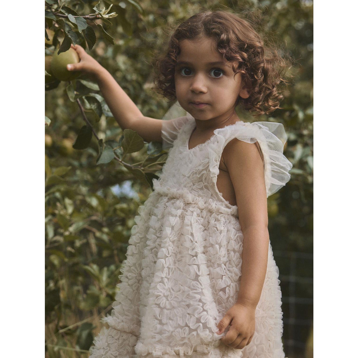 Lil'Atelier Pumice Stone Nmffauna Capsl Tulle Dress Lil