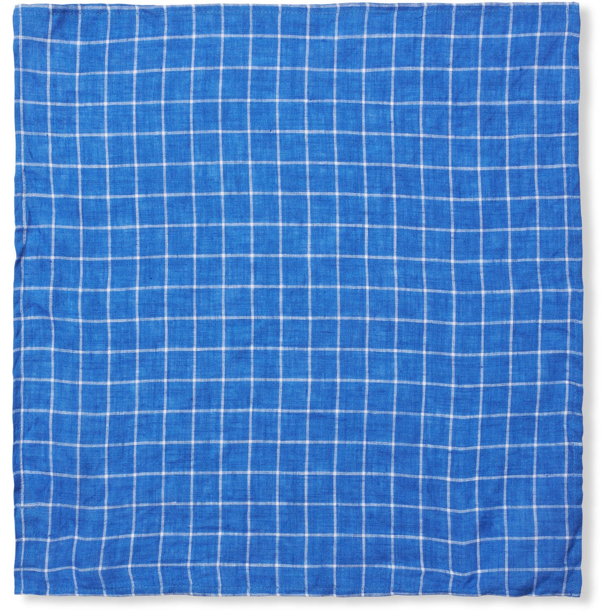 Lalaby Art Blue Eddie Scarf
