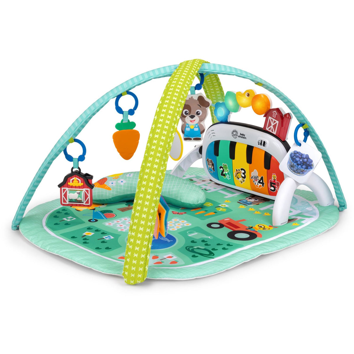Baby Einstein 4-in-1 Kickin’ Tunes™ Musical Meadow™ Music & Language Discovery Gym