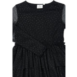 The New Black Beauty Tnyancy L_S Mesh Dress