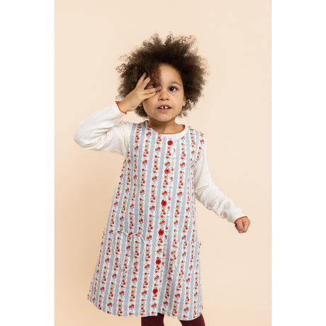 Flöss Blue Air Rose Aria Dress