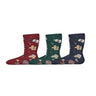 Name It Botanical Garden Nmnvismas 3-Pack Socks