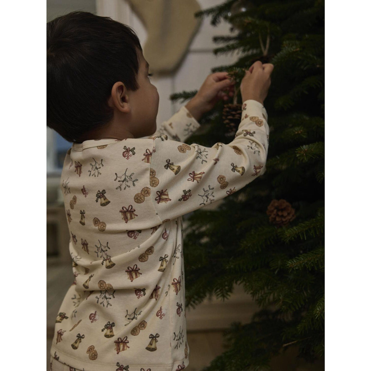 Lil'Atelier Turtledove Old Christmas Nmnlayo Git Ls Nightset Lil