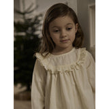 Lil'Atelier Turtledove Nmfrosea Ls Loose Shirt Lil