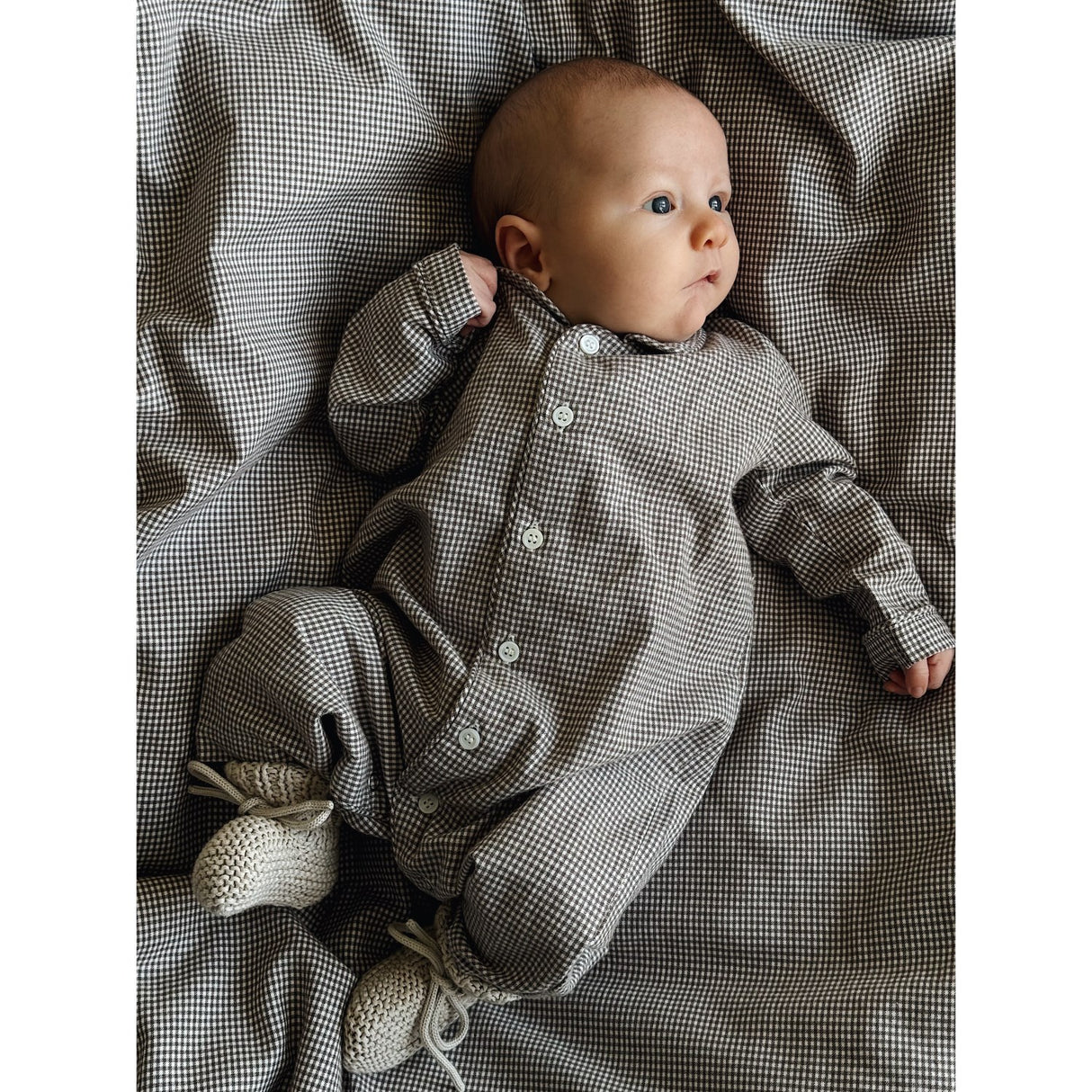 Lalaby Tiny Check Brown Classic Pj Suit