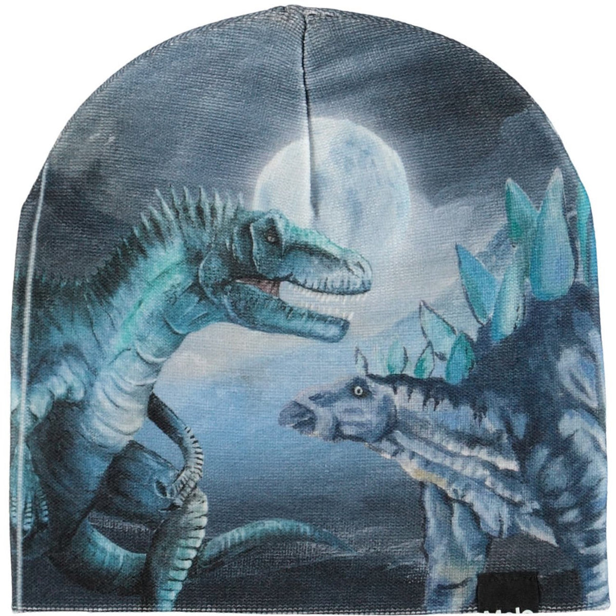 Molo Arty Dinos Kaya Outerwear Set