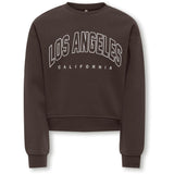 kids ONLY Coffee Bean Los Angeles - California Kogsweat Ls Crew Ovz Stat Swt Noos