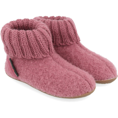 Haflinger Heather Rose Everest Karlo