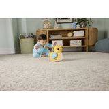 Fisher-Price® Flap & Follow Duck