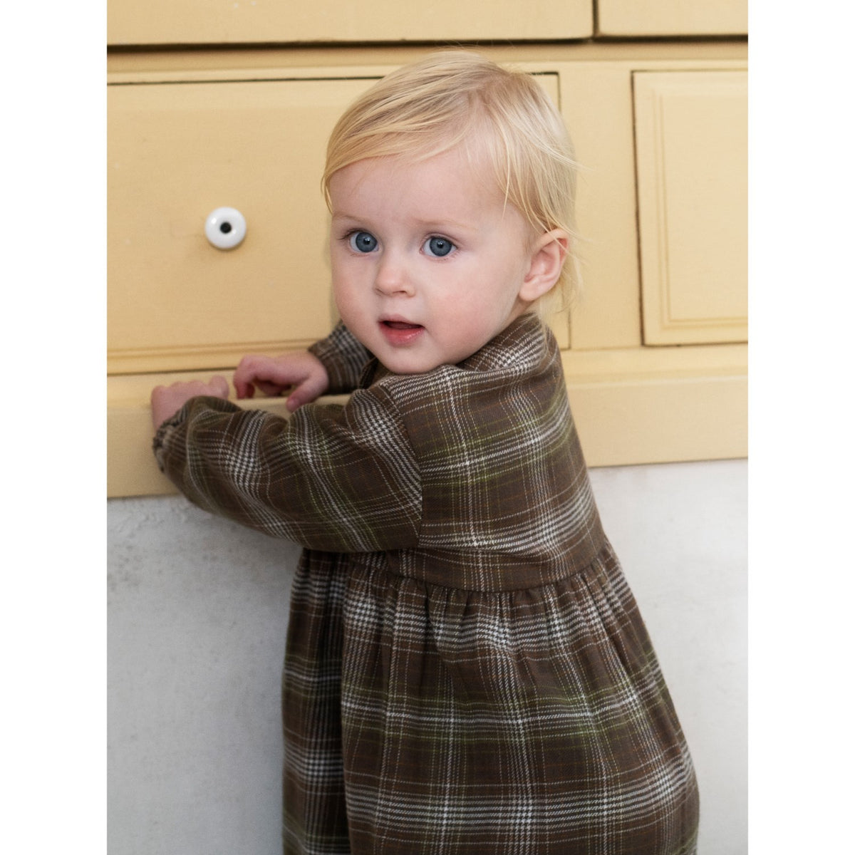 Serendipity Trail Checks Baby Brushed Dress