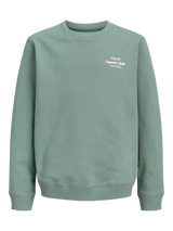 Jack & Jones Junior Laurel Wreath Jornorrebro Typo Back Sweat Cn Jnr
