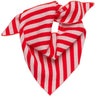 FUB Classic Red/Rose Quartz Bandana