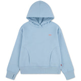 Levi's Angel Falls Batwing Patch Hoodie