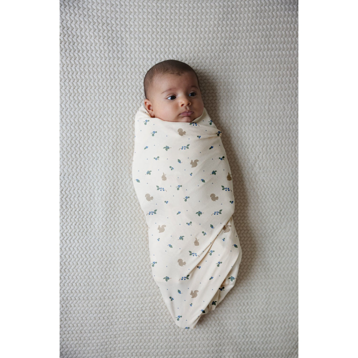 Cam Cam Copenhagen Blueberries Jersey Swaddle