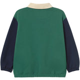 TinyCottons Dark Green Color Block Polo Sleeve Tee