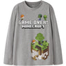 Name It Grey Melange Nkmar Minecraft Ls Nreg Top Box Noos Bfu