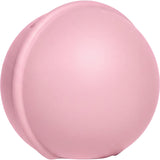 Bibs Baby Pink Pacifier Case Mini