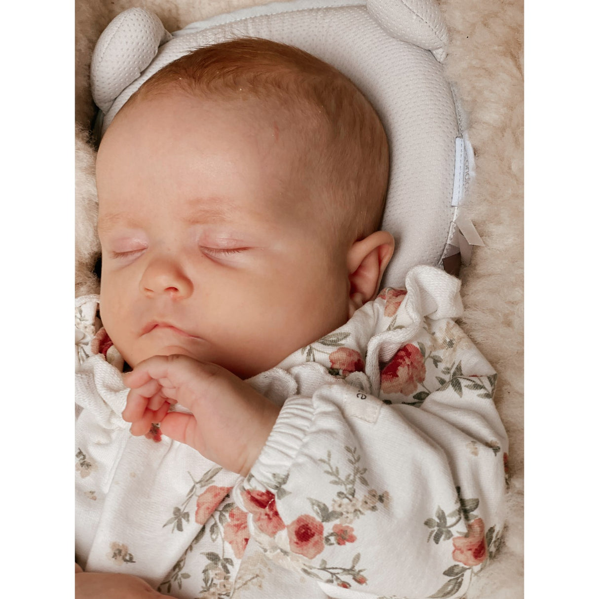 Candide Grey Panda Baby Pillow Air