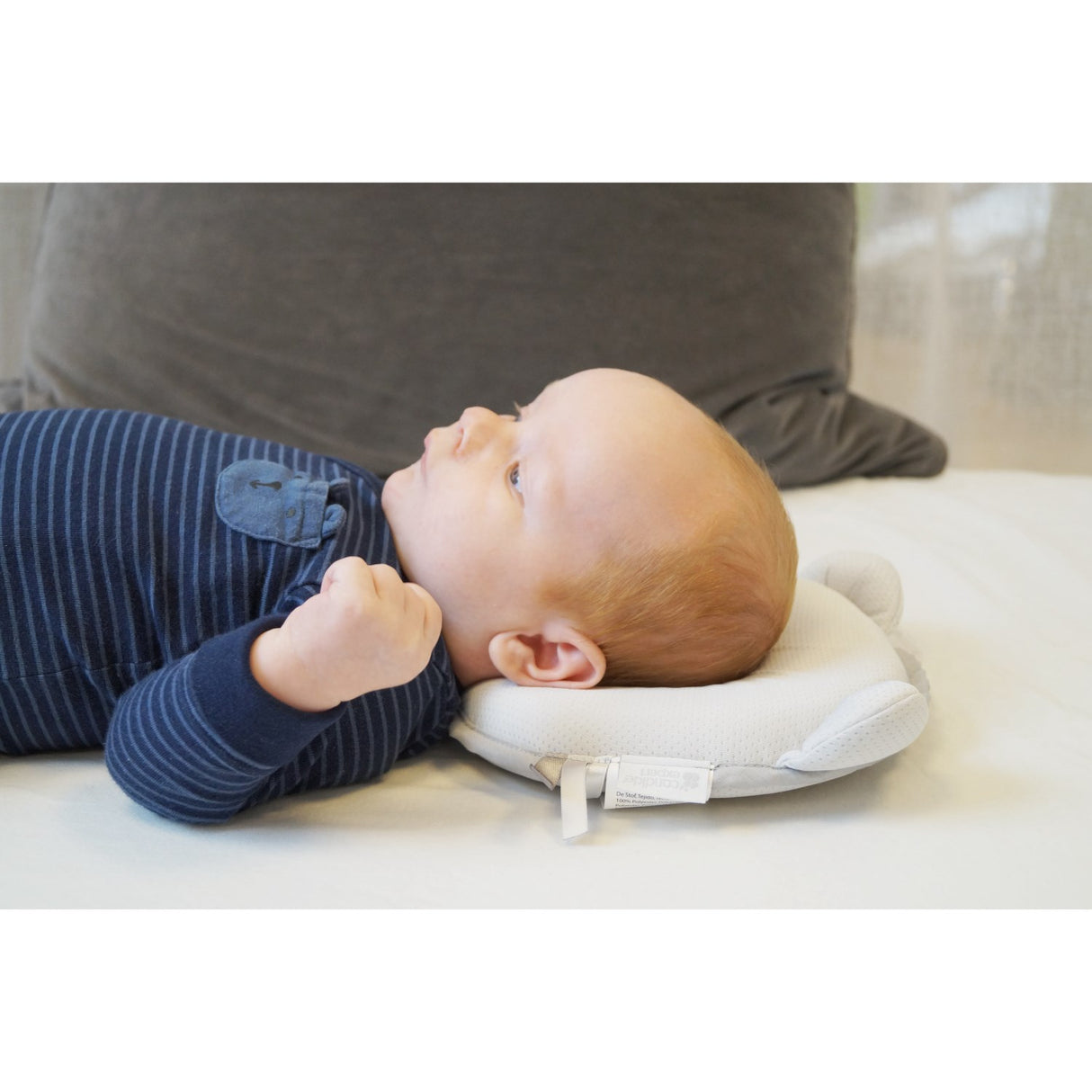 Candide Grey Panda Baby Pillow Air