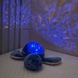 Pabobo Green Turtle Ocean Themed Projector USB