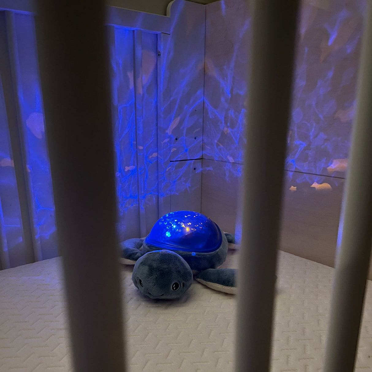 Pabobo Green Turtle Ocean Themed Projector USB